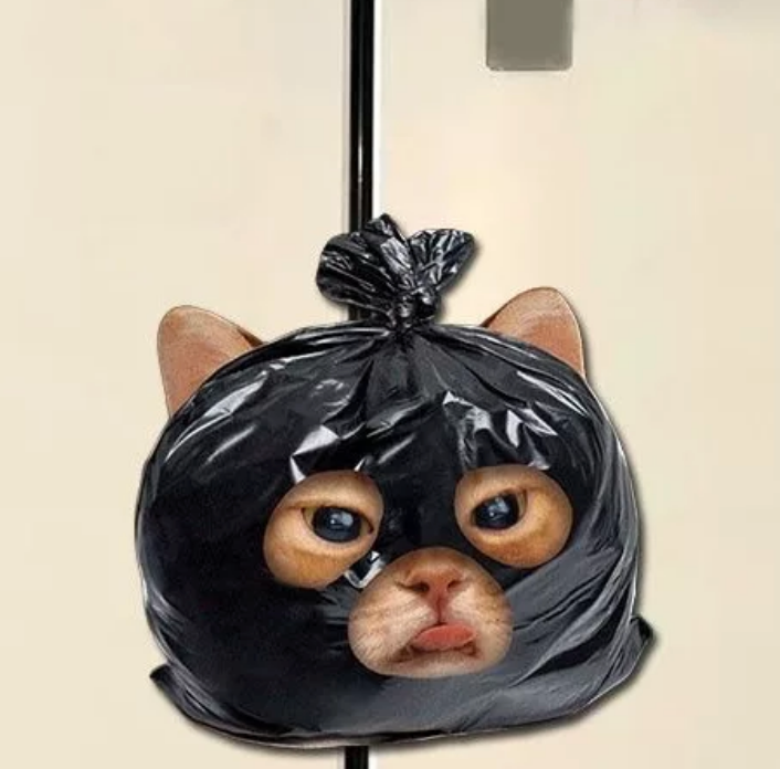 Cute Cat Acrylic Fridge Magnets – Funny & Creative Magnetic Decorations