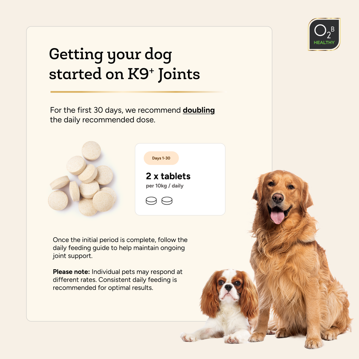O2B K9+ Joints™ 100s
