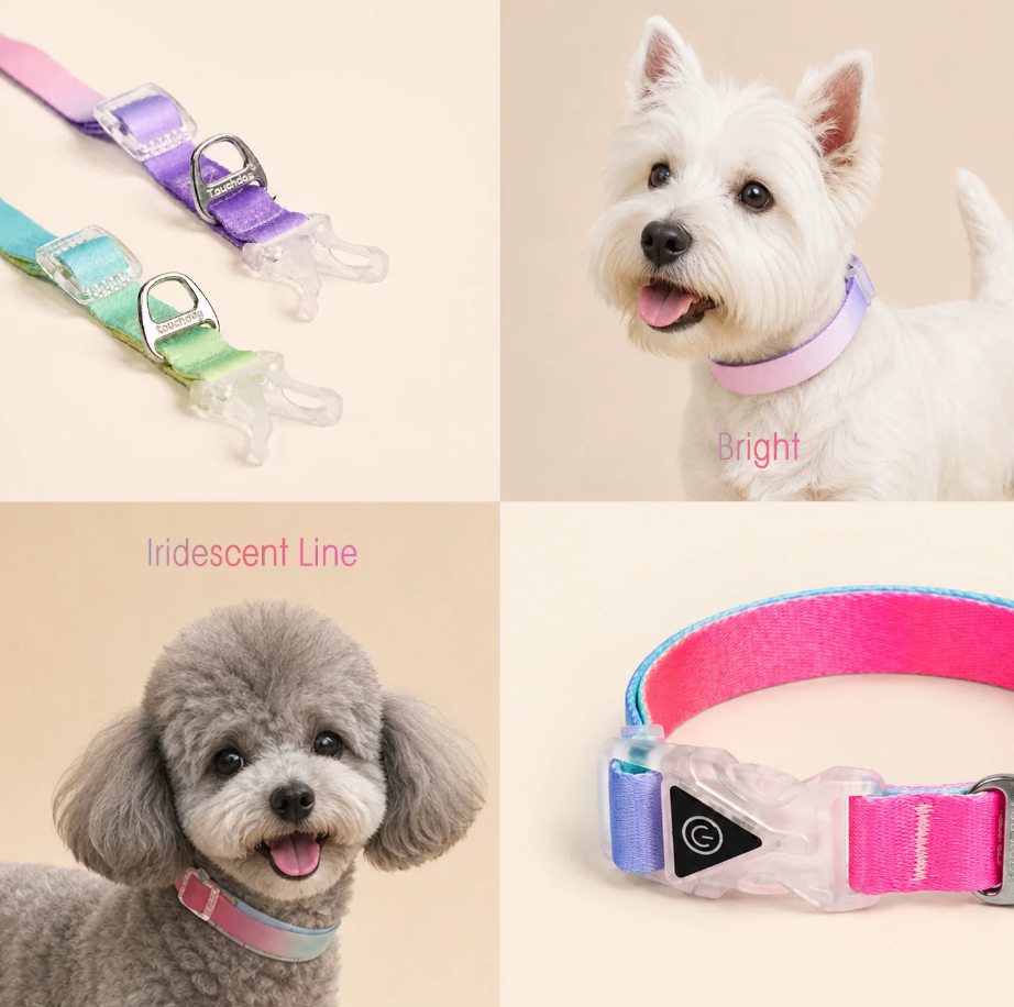 Touchdog LED Light-Up Dog Collar – Glow-in-the-Dark, Adjustable
