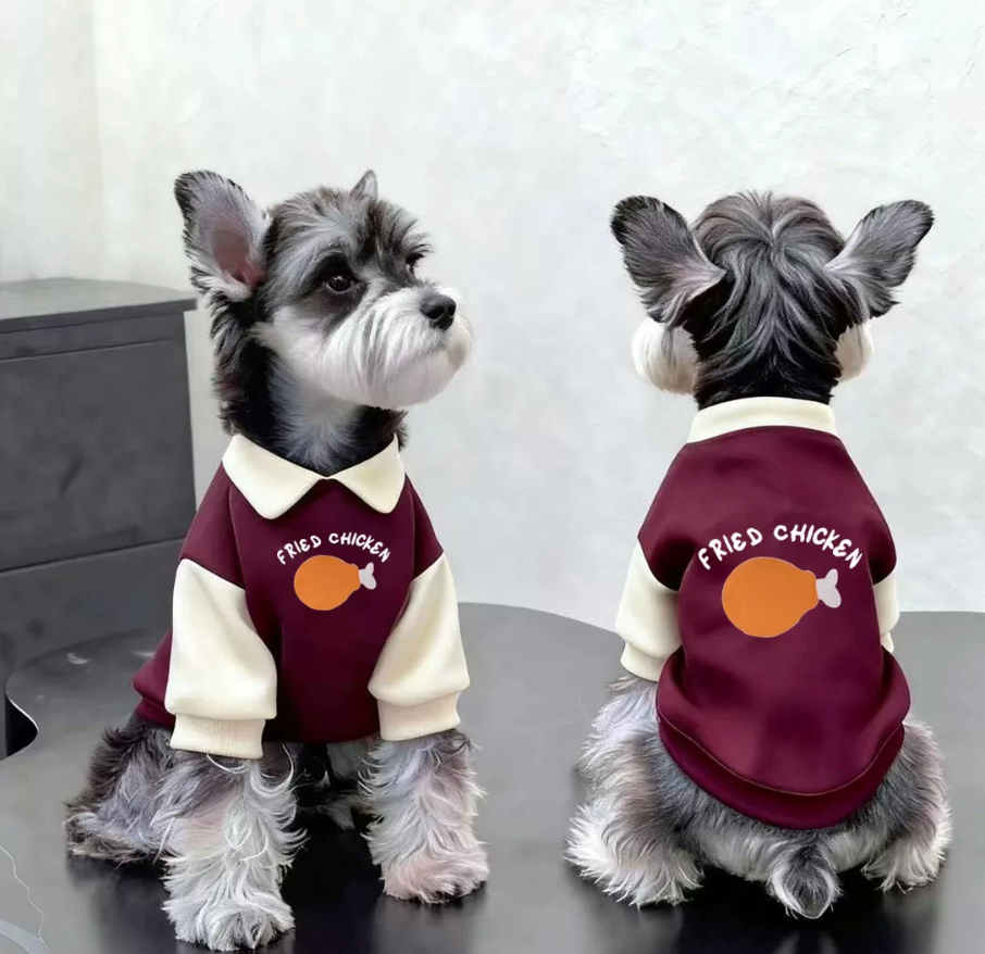 Fleece-Lined Colour Block Hoodie for Dogs & Cats – Cozy Pet Sweatshirt with Collar