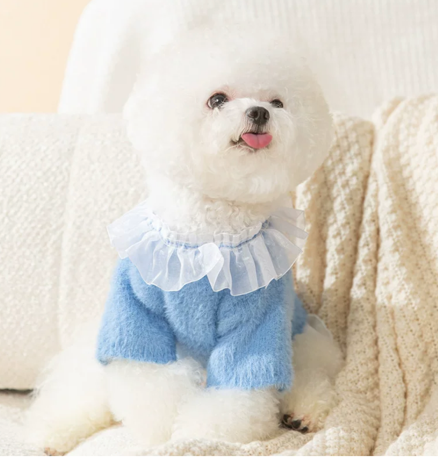 Blue Velvet Pet Dress with Tulle Collar & Skirt – Elegant Cat & Dog Outfit