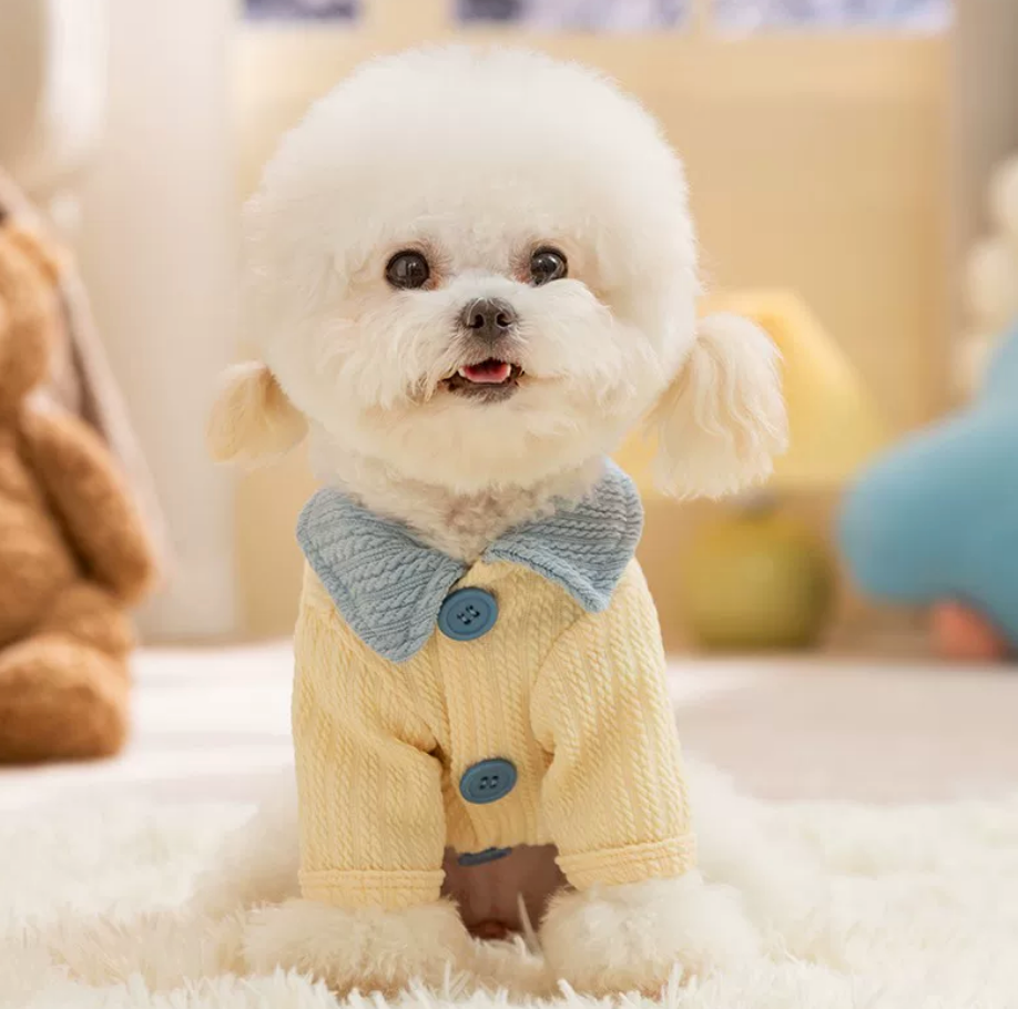 Cream Yellow Pet Jacket with Blue Collar – Harness Compatible Dog & Cat Coat