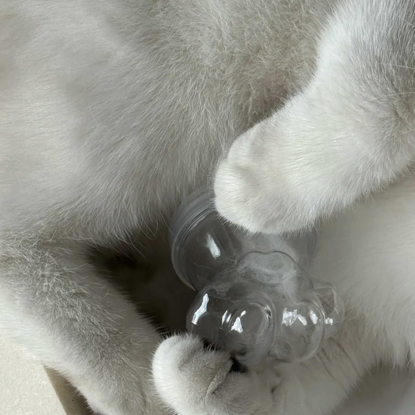 Cat & Dog Hair Keepsake Bottle | Paw Capsule Design | Lucky Charm Pet Accessory