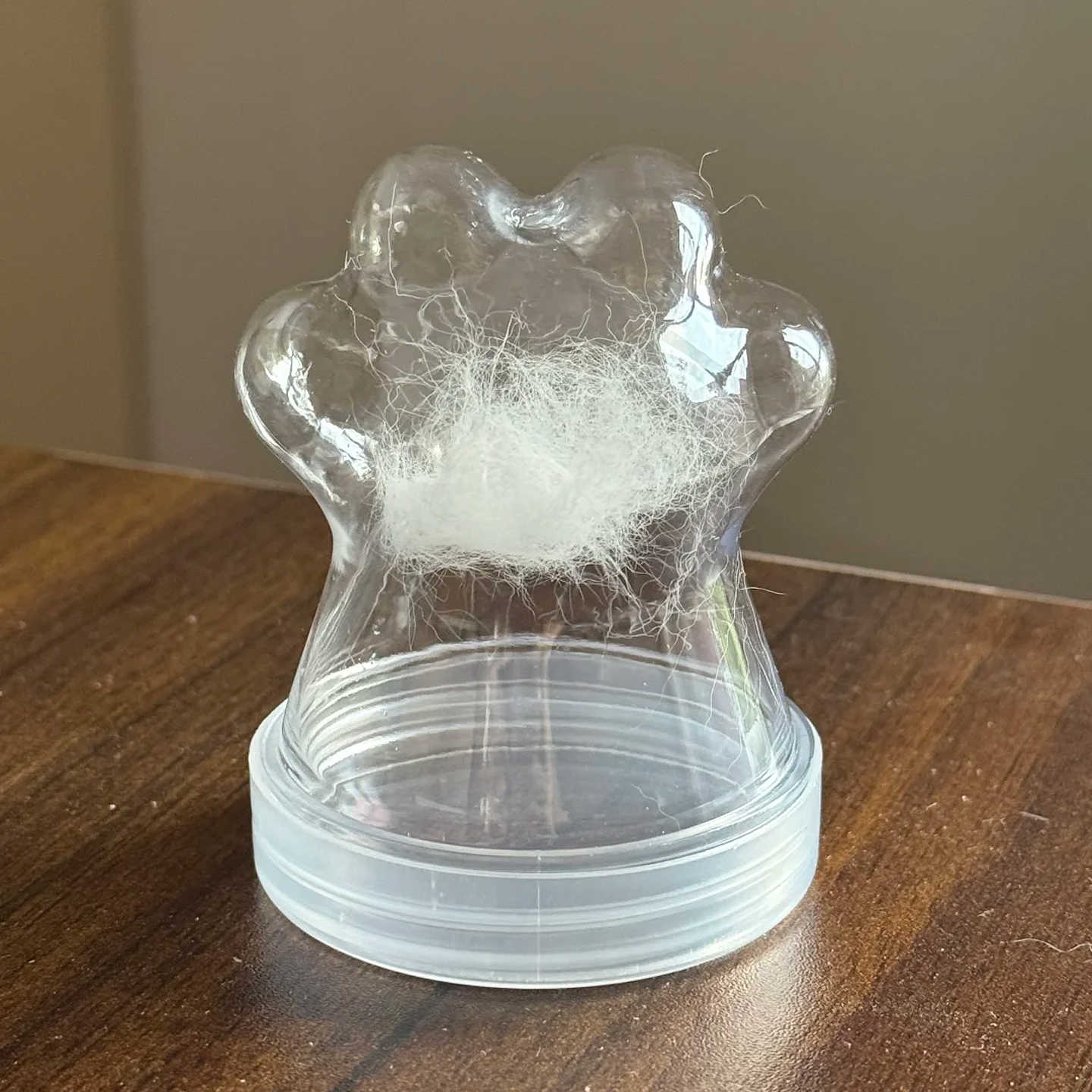 Cat & Dog Hair Keepsake Bottle | Paw Capsule Design | Lucky Charm Pet Accessory