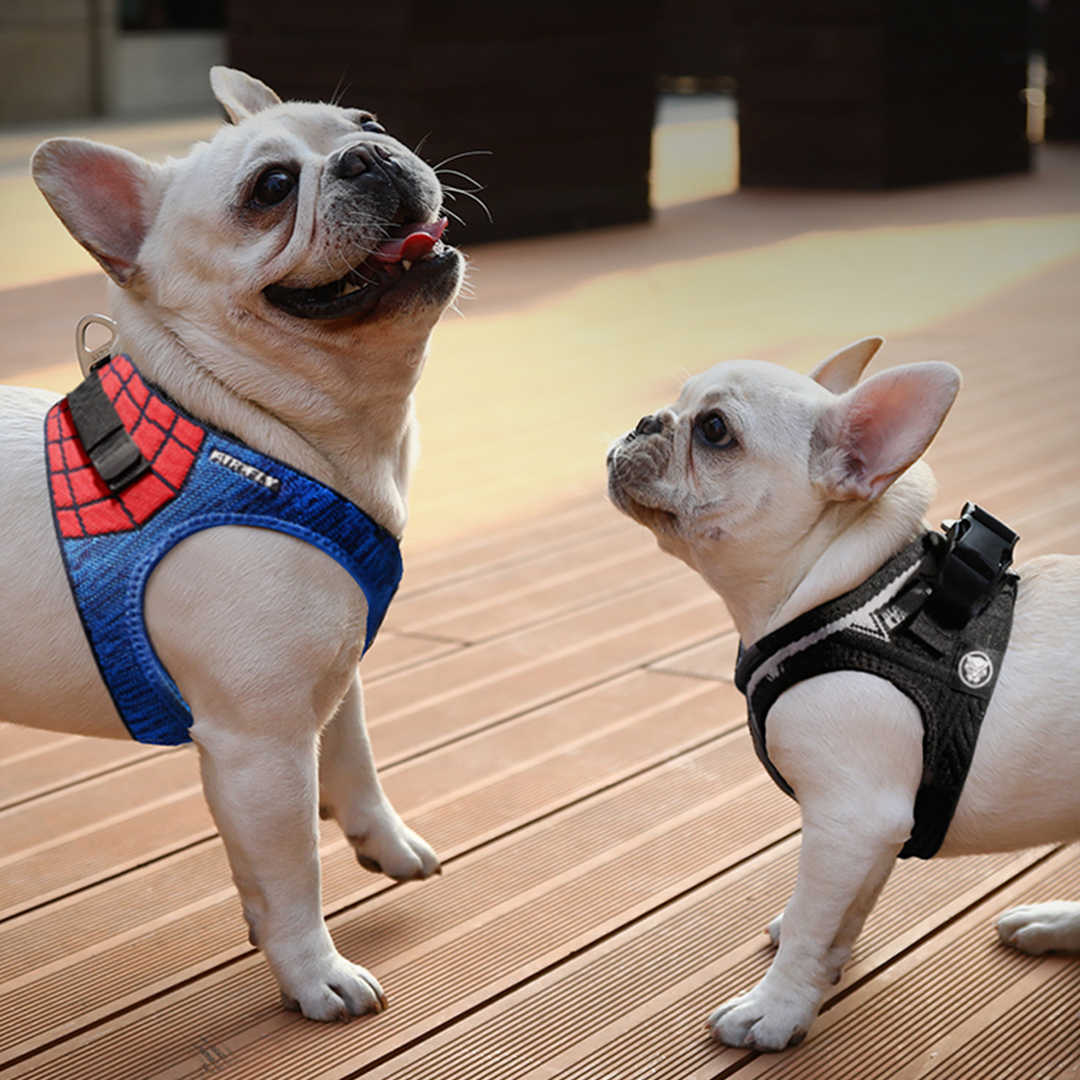 PETKIT Air Fly 狗胸背带