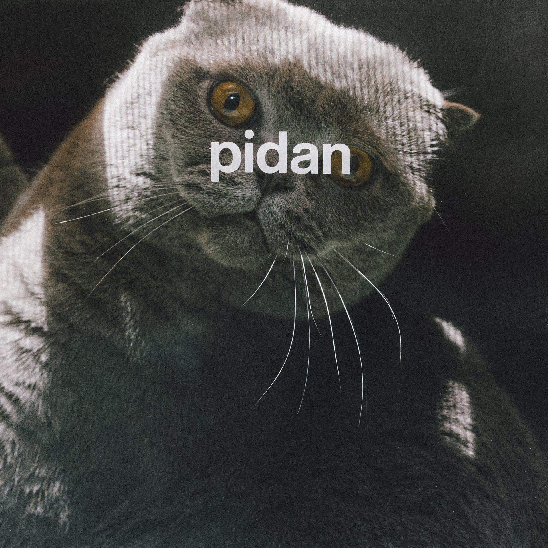 Pidan Pet Backpack Carrier PAWS CLUB
