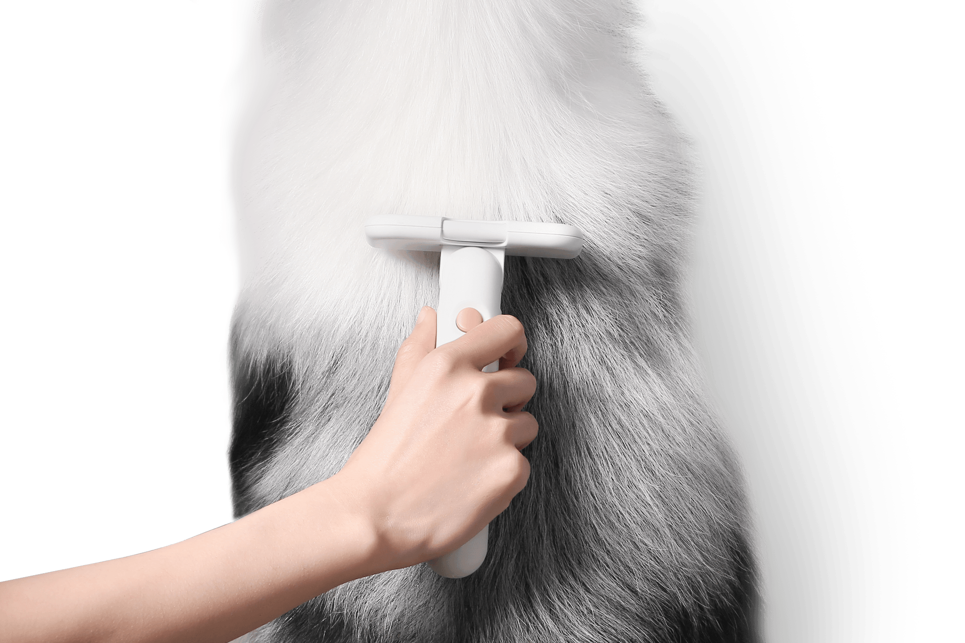 Pidan Pet Deshedding Tool For Short Hair Pets PAWS CLUB