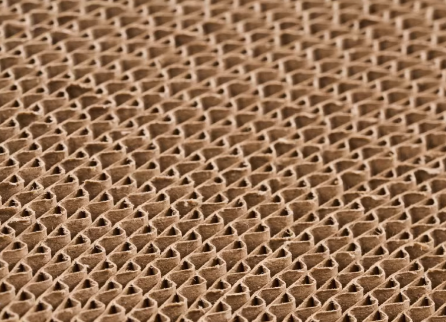 Pidan Cat Scratcher Bed - Multi-Functional & Durable