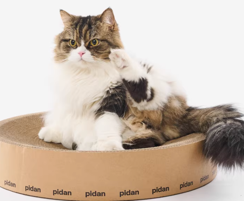 Pidan Cat Scratcher Bed - Multi-Functional & Durable
