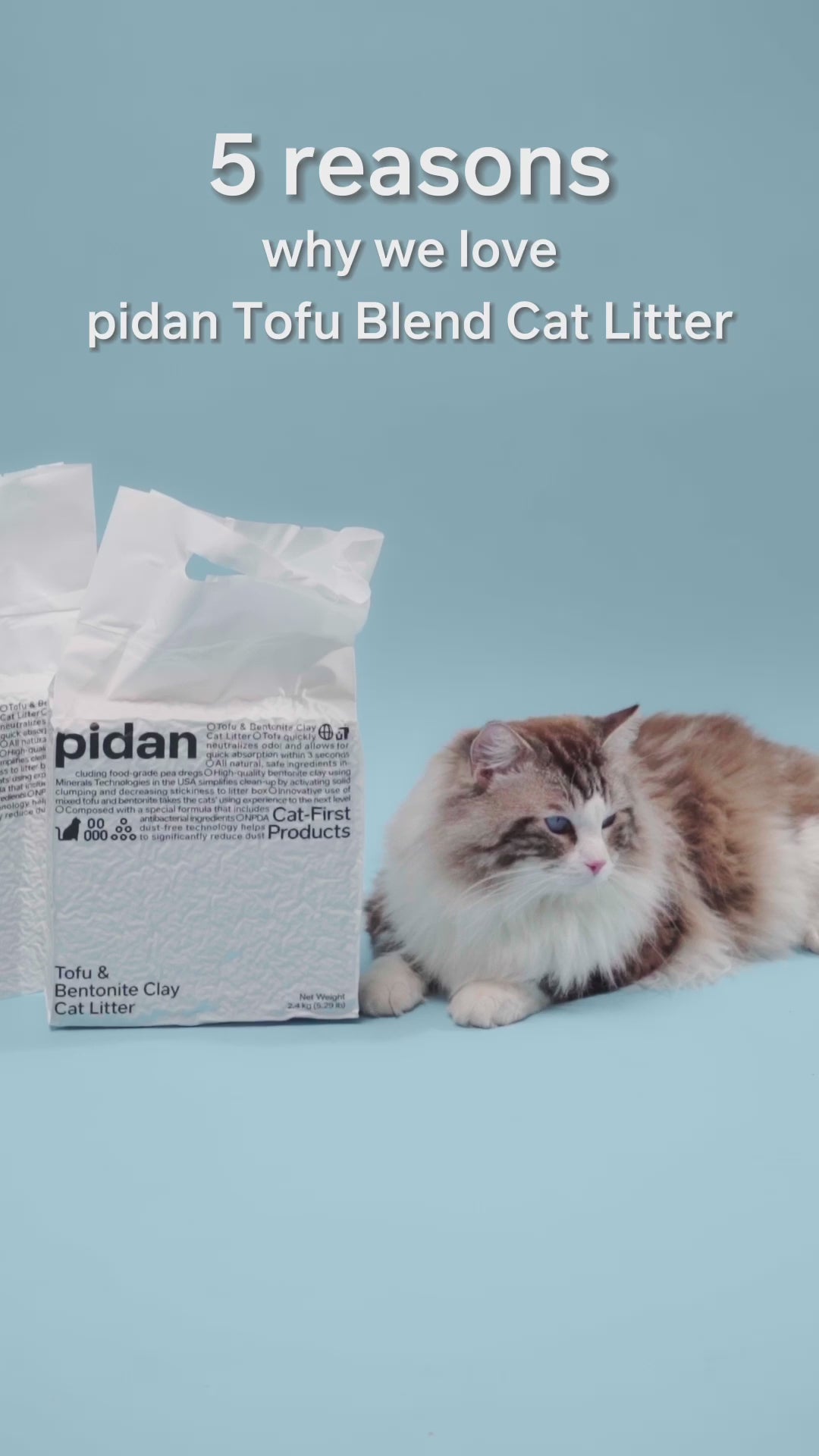 PIDAN Composite Tofu Cat Litter: Tofu & Crushed Bentonite 2.4KG - Ideal for Cats with Sensitive Urinary Systems