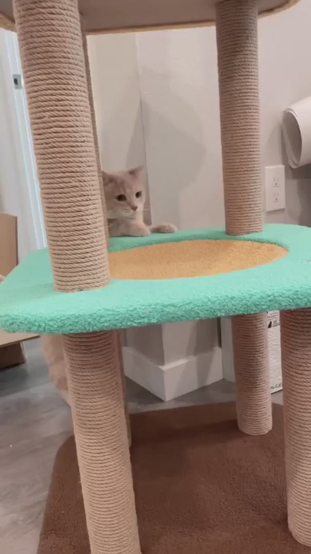 Pidan sales cat tree