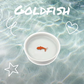 SUCK UK Cat Bowl - Goldfish: A Whimsical Dining Experience