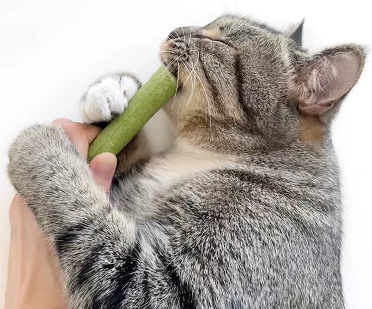 Catwant Freeze-Dried Chicken & Cat Grass Dental Sticks (5 Pack | 30g)
