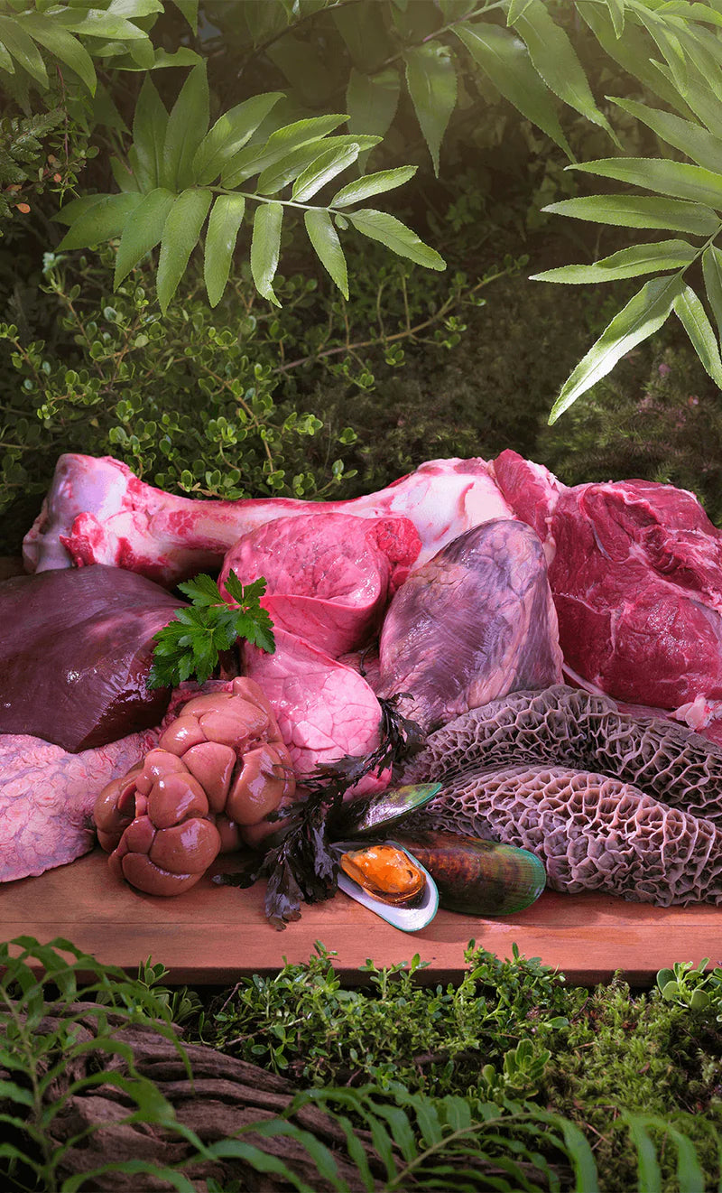 ZIWI PeakPrey®  Air-Dried Beef Cat Food