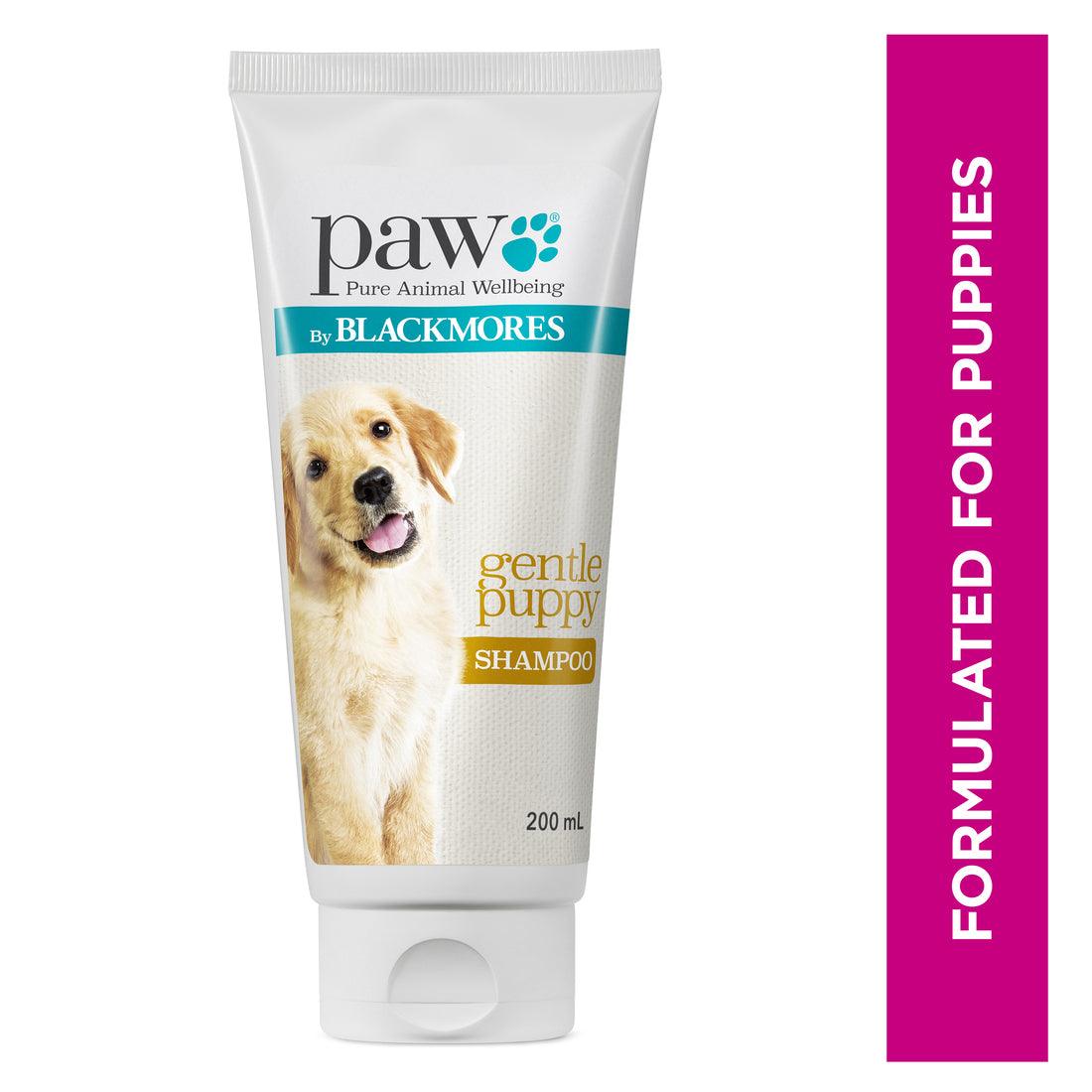Blackmores PAW - Gentle Puppy Shampoo, 200ml - PAWS CLUB