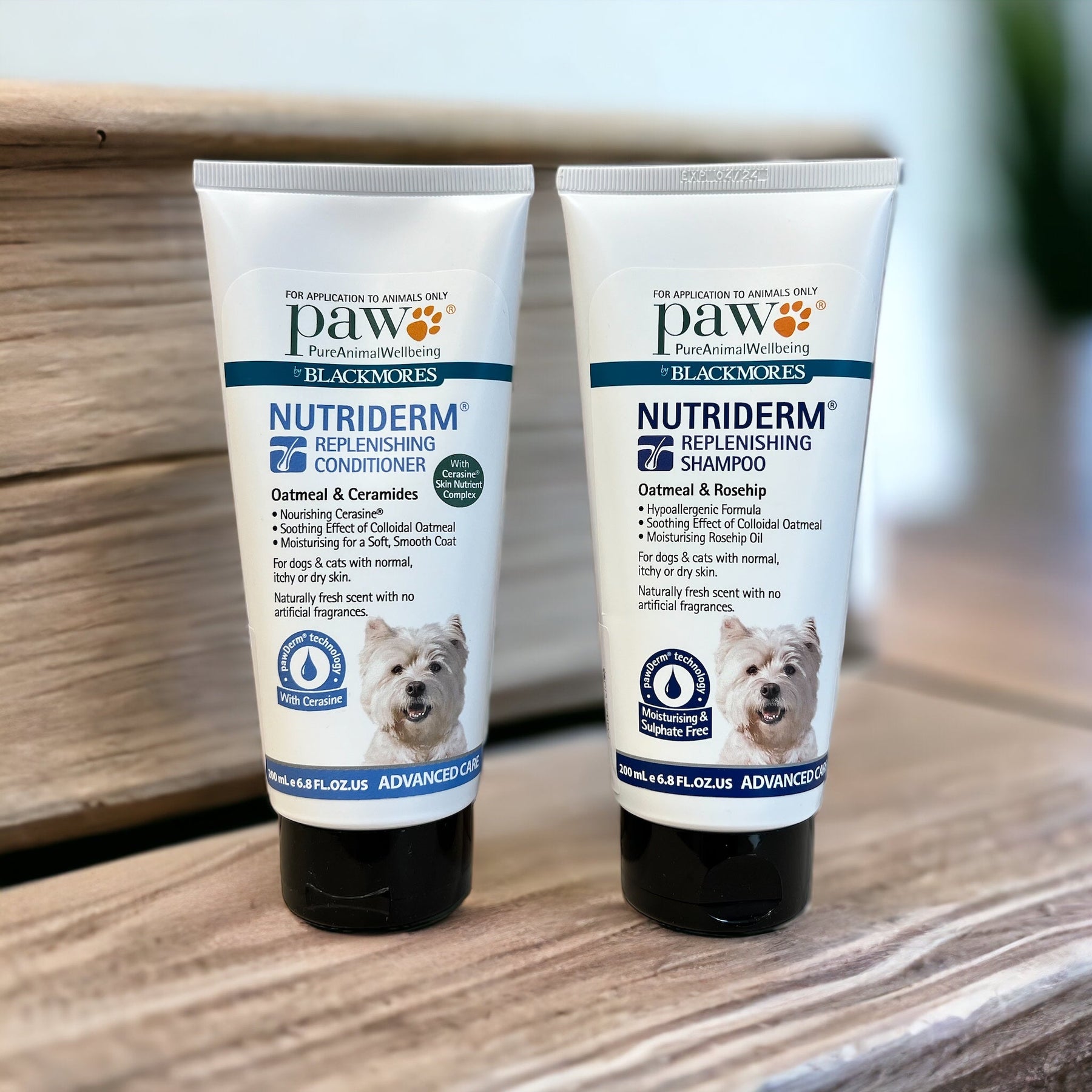 Blackmores PAW NutriDerm Bundle: Replenishing Care for Dogs and Cats - PAWS CLUB