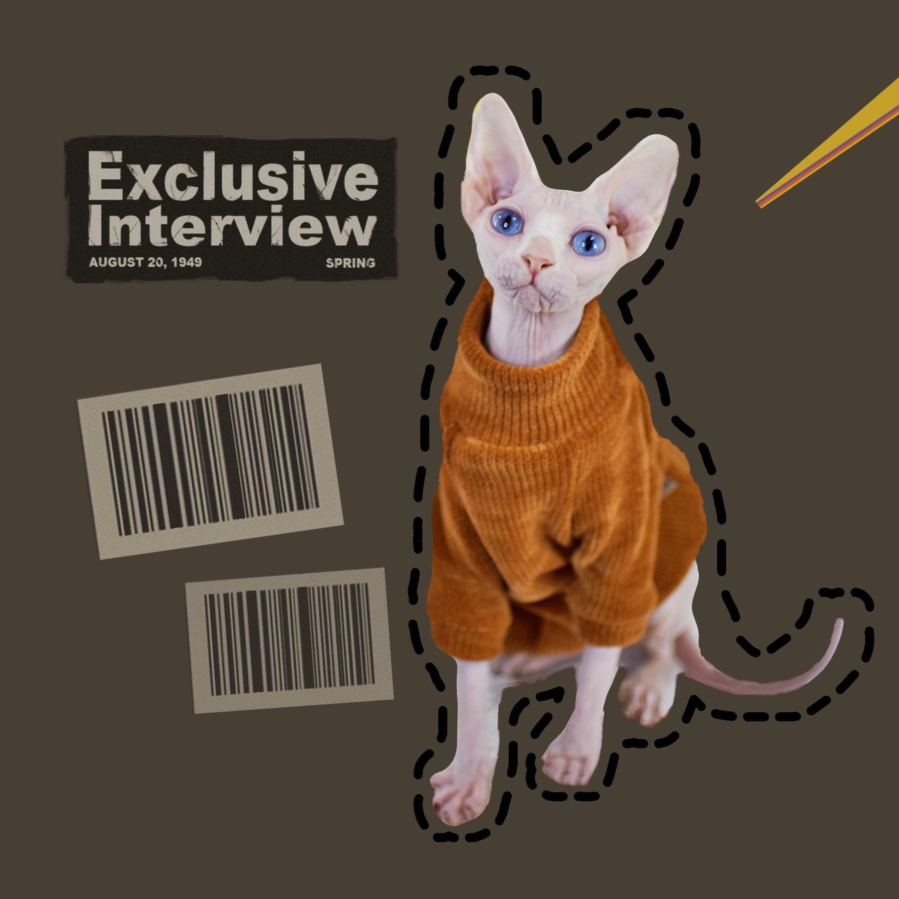 Caramel Brown Cat Hoodie for Sphynx & Devon Rex - PAWS CLUB