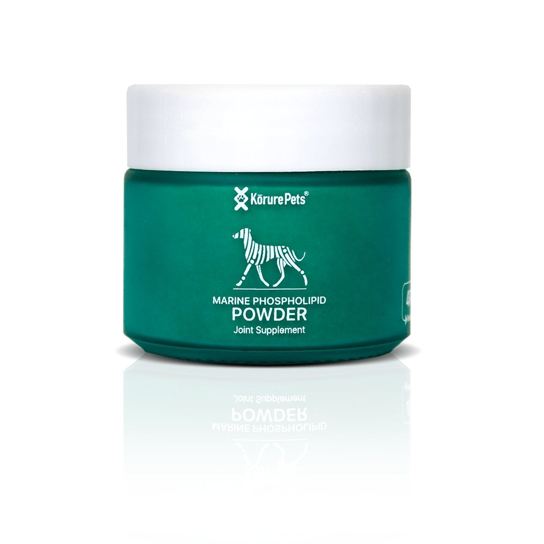 Marine Phospholipid Joint Powder (Green Lipped Mussel Powder Extract) - PAWS CLUB