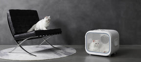 Petkit AIRSALON MAX-The Coziest & Safest Pet Dryer - PAWS CLUB