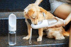 Petkit Eversweet Travel One-touch Pet Water Bottle 400ML - PAWS CLUB