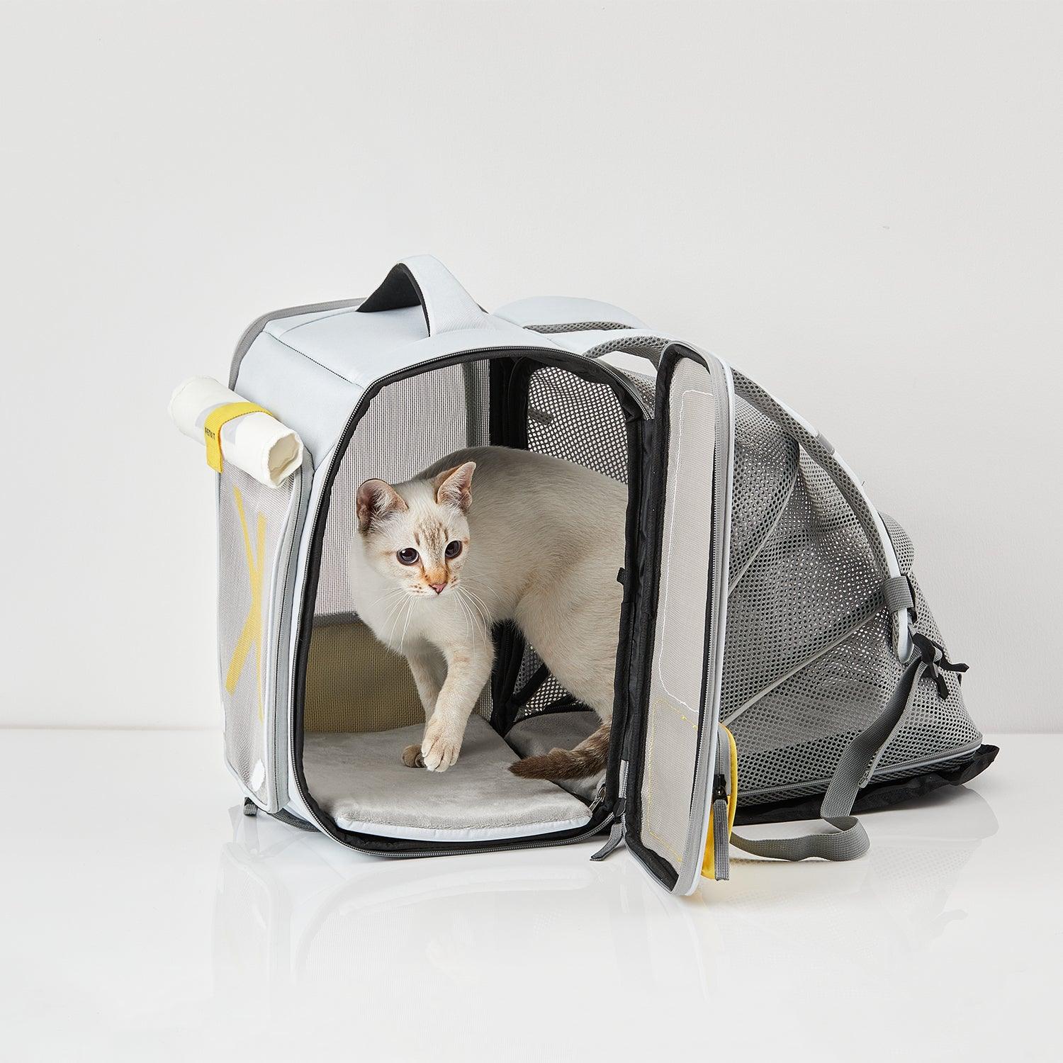 Petkit Pet Backpack Carrier - Breezy Zone - PAWS CLUB