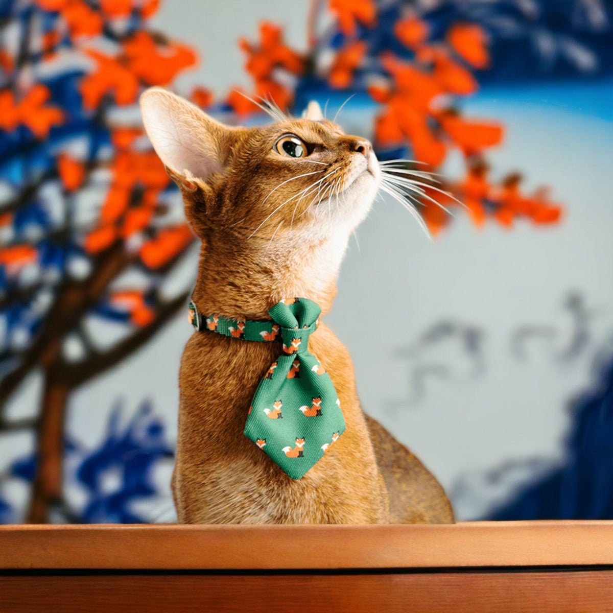 PIDAN Adjustable Cat Necktie Collar - Style Meets Comfort - PAWS CLUB