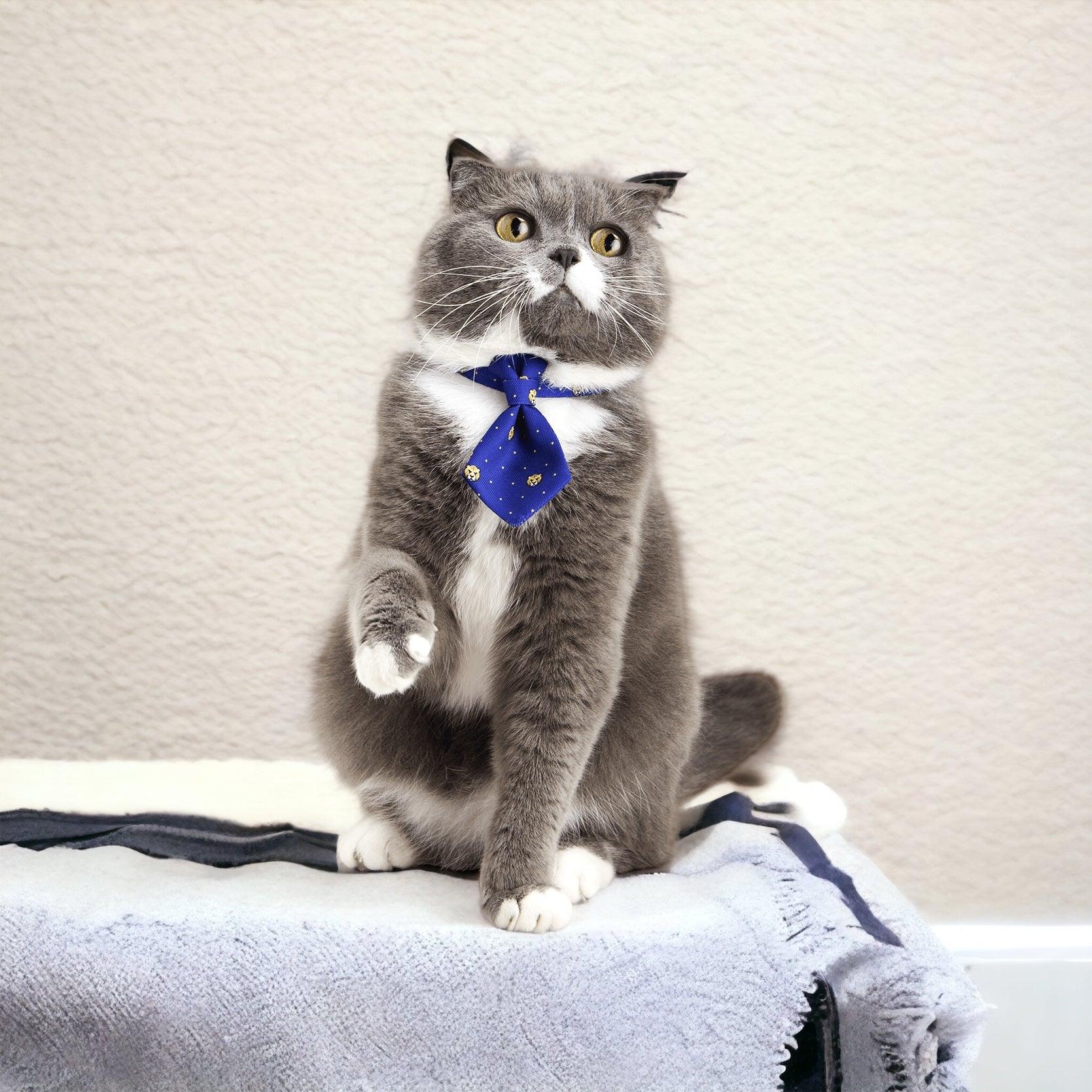 PIDAN Adjustable Cat Necktie Collar - Style Meets Comfort - PAWS CLUB