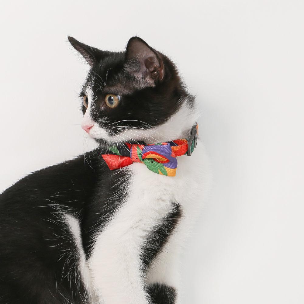 Fashion cat collar best sale