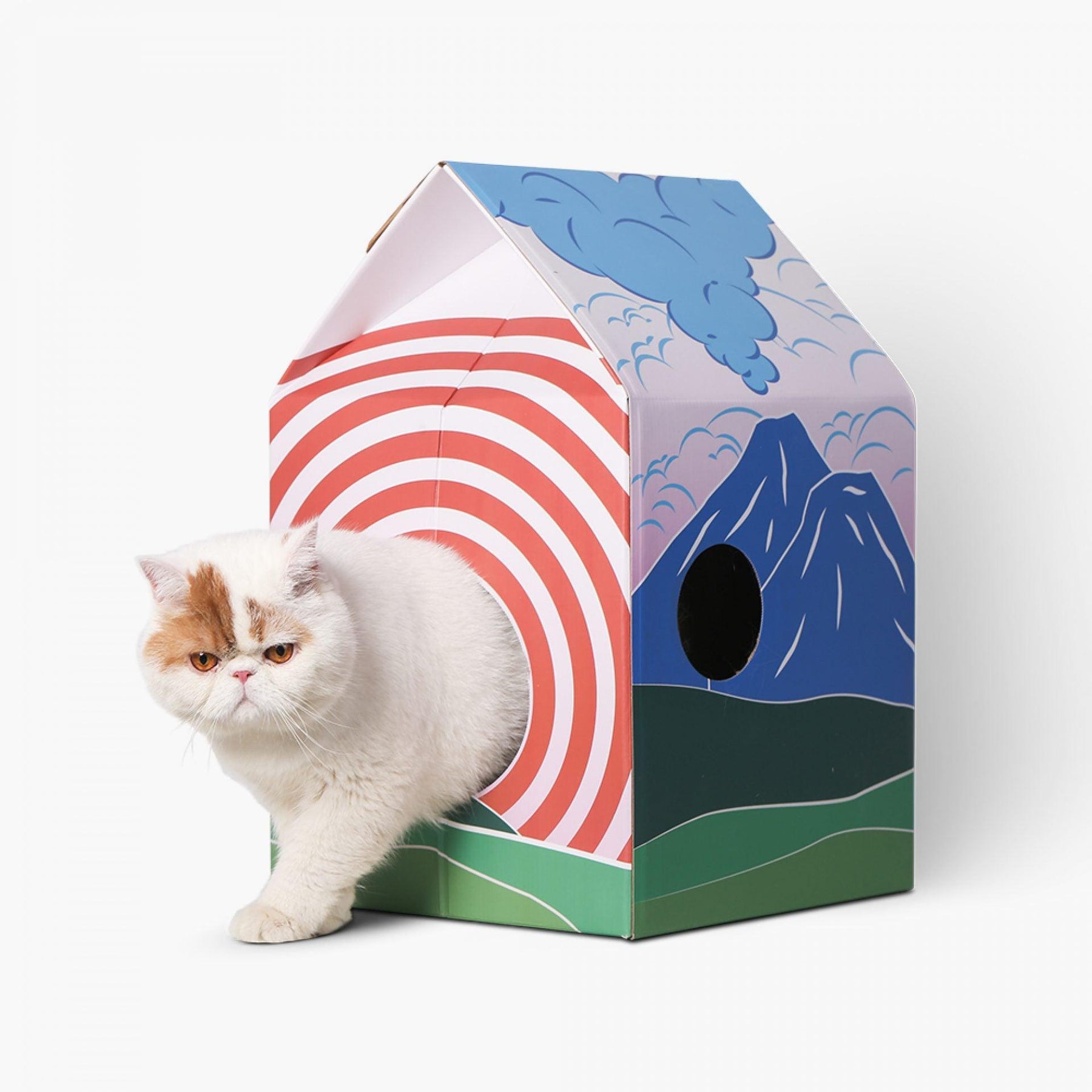 PIDAN Cat House and Scratcher - Fuji - PAWS CLUB
