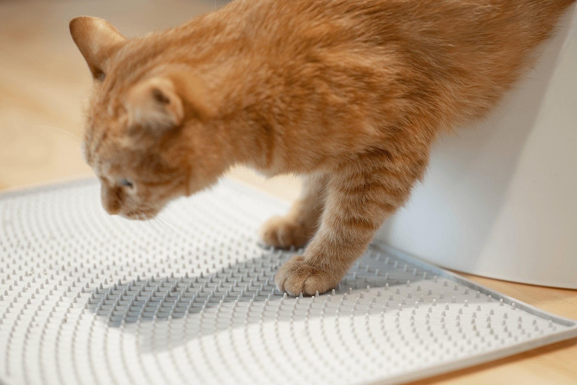 Double layer cat litter hotsell mat with free shovel