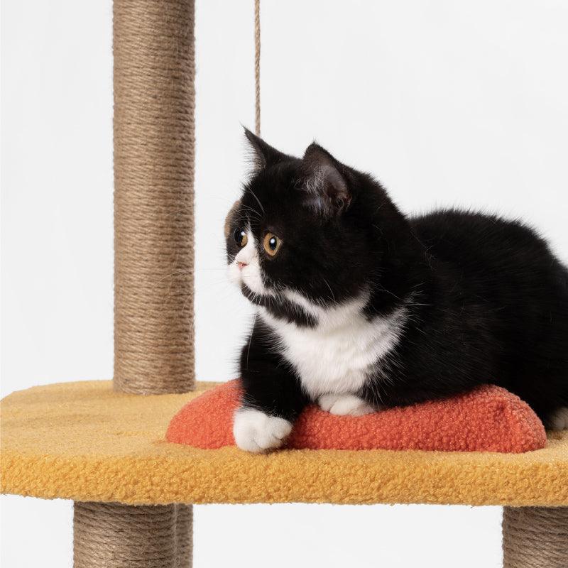 PIDAN Cat Tree - Jump Jump - PAWS CLUB