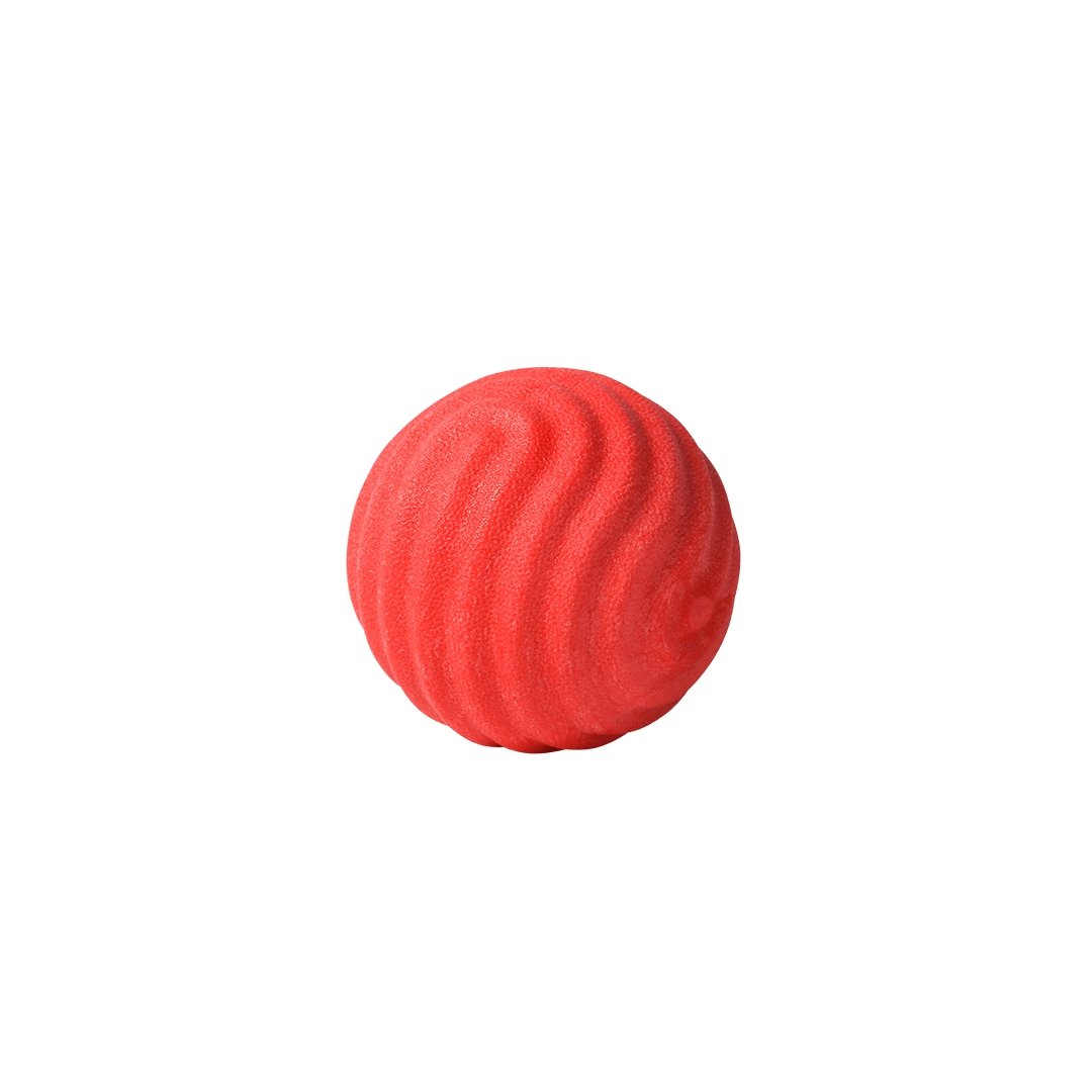 PIDAN Dog Ball Toy - PAWS CLUB