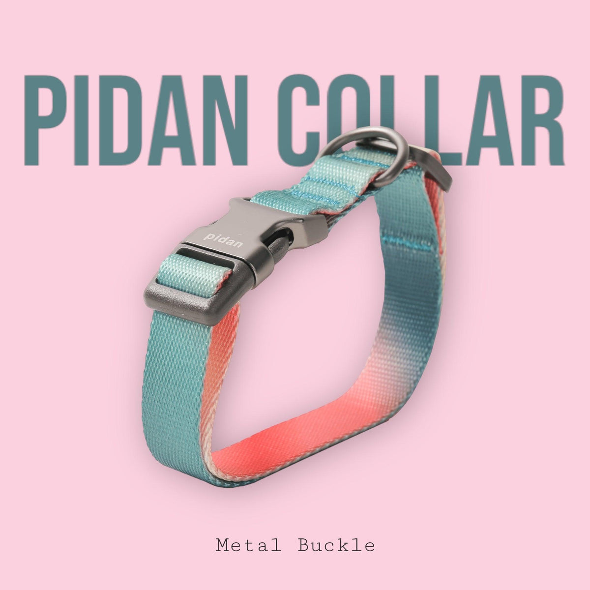 PIDAN Dog Collar with High-Strength Metal Buckle - Adjustable and Stylish - PAWS CLUB