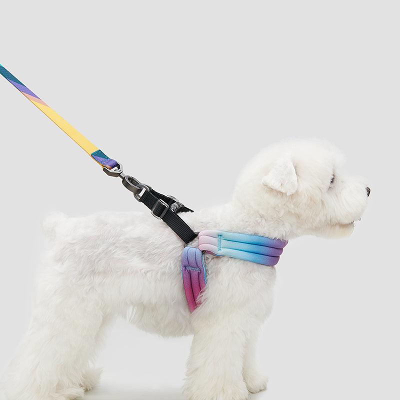 PIDAN Dog Harness - PAWS CLUB