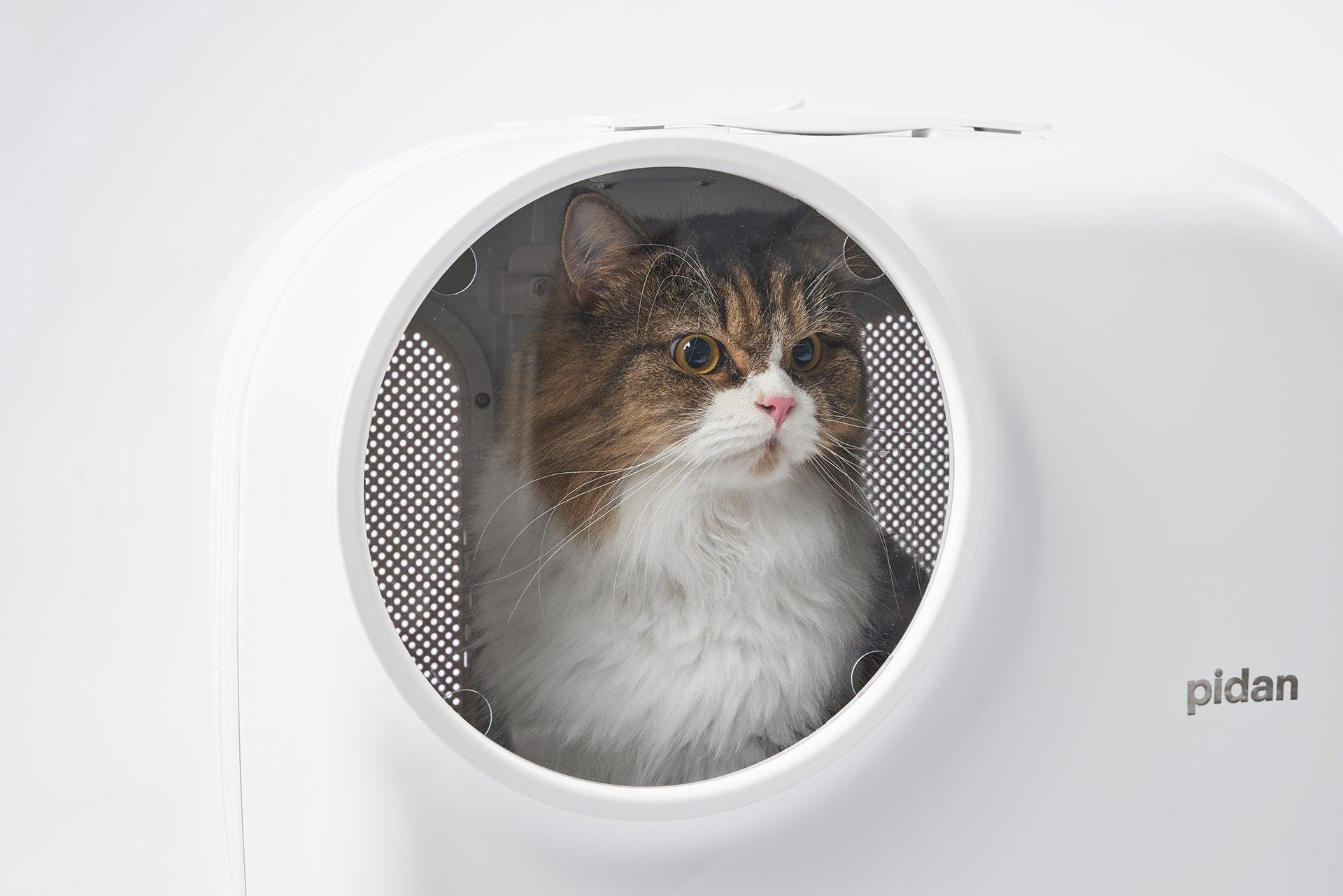 Cat litter hotsell ventilation system