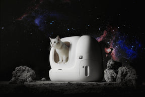 Pre-Order Now!! PETKIT PURA MAX - The Ultimate Self-Cleaning Cat Litter Box Solution - PAWS CLUB