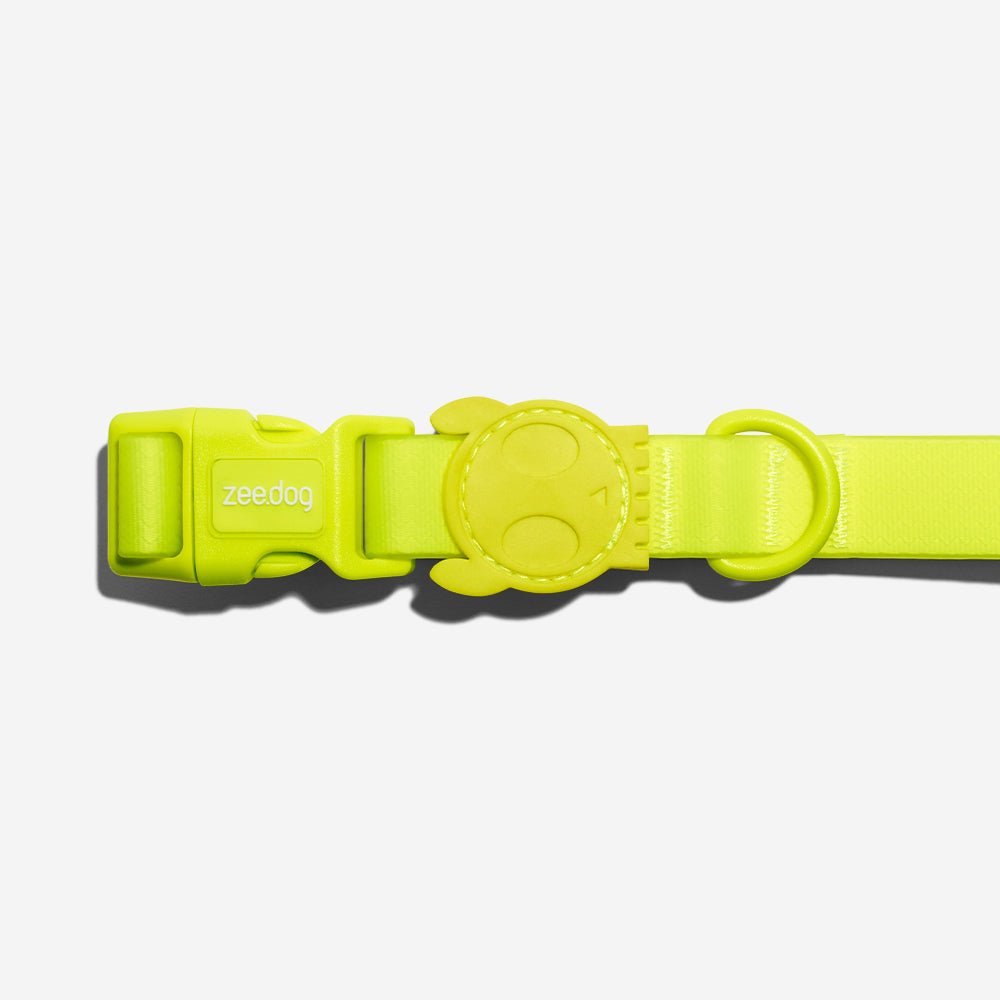 Zee.Dog Neopro Collar - Lime - PAWS CLUB