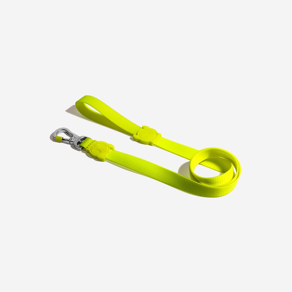 Zee.Dog Neopro Lime Leash: The Ultimate Weatherproof Leash for Your Dog - PAWS CLUB